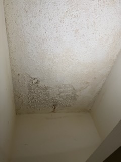 Before: ceiling restoration