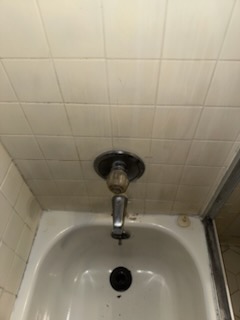 Project: bathroom repair